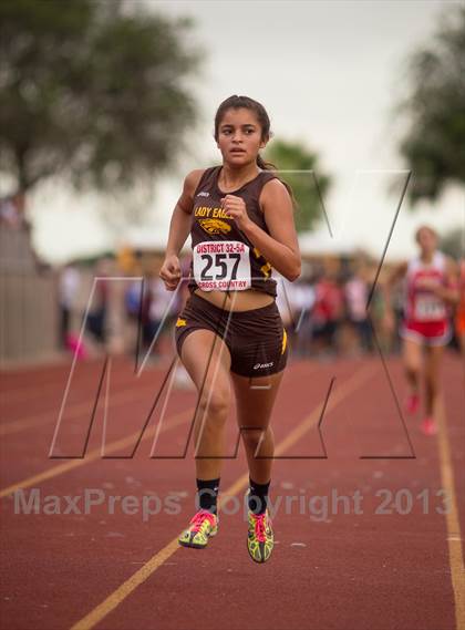 Thumbnail 3 in District 32-5A Cross Country Championships (Girls) photogallery.