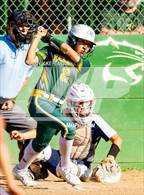 Photo from the gallery "River City @ Kennedy"