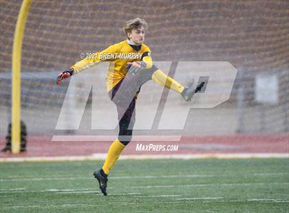 Thumbnail 1 in Windsor vs. Mesa Ridge (CHSAA 4A Playoffs Rd 1) photogallery.