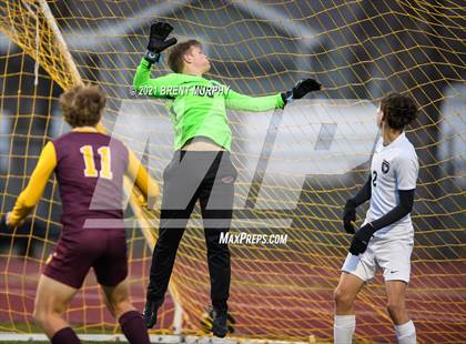 Thumbnail 1 in Windsor vs. Mesa Ridge (CHSAA 4A Playoffs Rd 1) photogallery.