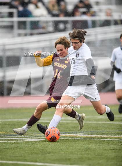 Thumbnail 3 in Windsor vs. Mesa Ridge (CHSAA 4A Playoffs Rd 1) photogallery.