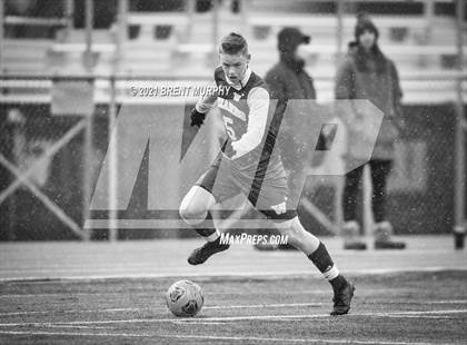 Thumbnail 3 in Windsor vs. Mesa Ridge (CHSAA 4A Playoffs Rd 1) photogallery.