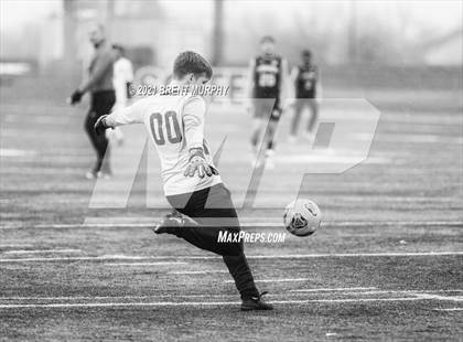 Thumbnail 1 in Windsor vs. Mesa Ridge (CHSAA 4A Playoffs Rd 1) photogallery.