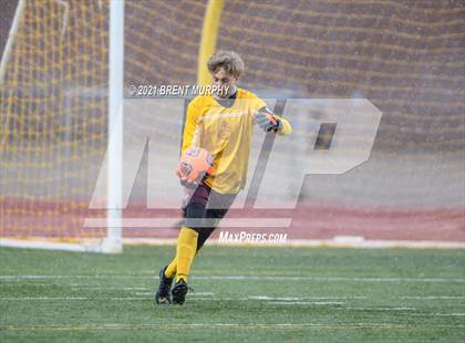 Thumbnail 1 in Windsor vs. Mesa Ridge (CHSAA 4A Playoffs Rd 1) photogallery.