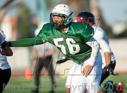 Thumbnail 1 in Centennial @ Oceanside (The Honor Bowl) photogallery.
