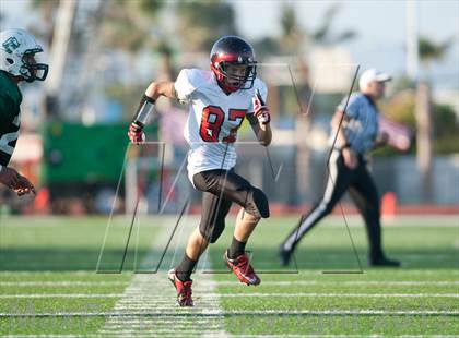 Thumbnail 3 in Centennial @ Oceanside (The Honor Bowl) photogallery.