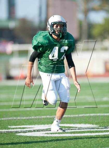 Thumbnail 1 in Centennial @ Oceanside (The Honor Bowl) photogallery.