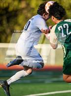 Photo from the gallery "Gig Harbor @ Timberline"
