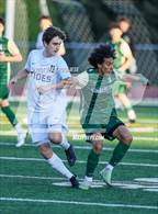 Photo from the gallery "Gig Harbor @ Timberline"