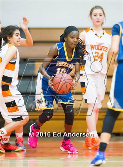 Thumbnail 3 in Inderkum @ Woodland photogallery.