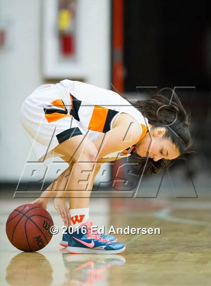Thumbnail 3 in Inderkum @ Woodland photogallery.
