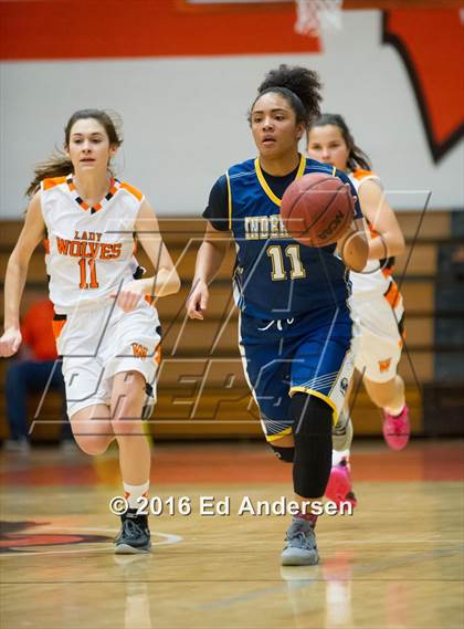 Thumbnail 3 in Inderkum @ Woodland photogallery.