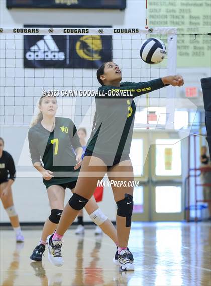 Thumbnail 2 in White Oak @ Croatan photogallery.