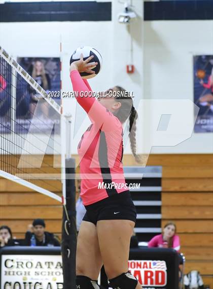 Thumbnail 1 in White Oak @ Croatan photogallery.