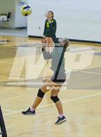 Photo from the gallery "White Oak @ Croatan"