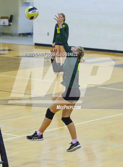 Thumbnail 2 in White Oak @ Croatan photogallery.