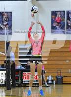 Photo from the gallery "White Oak @ Croatan"