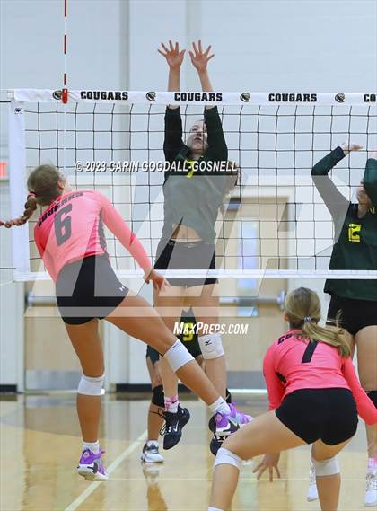 Thumbnail 2 in White Oak @ Croatan photogallery.