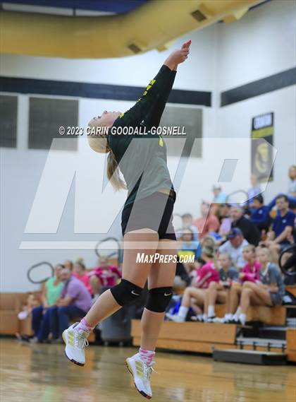 Thumbnail 1 in White Oak @ Croatan photogallery.