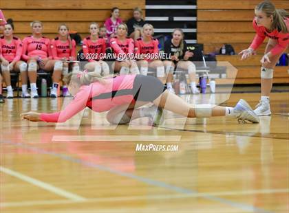 Thumbnail 2 in White Oak @ Croatan photogallery.