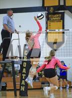 Photo from the gallery "White Oak @ Croatan"