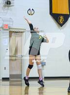 Photo from the gallery "White Oak @ Croatan"