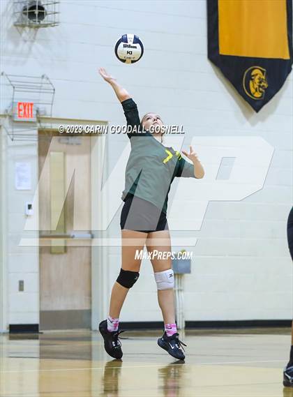 Thumbnail 1 in White Oak @ Croatan photogallery.