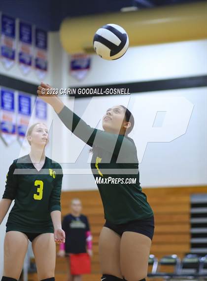 Thumbnail 1 in White Oak @ Croatan photogallery.