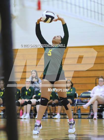 Thumbnail 1 in White Oak @ Croatan photogallery.