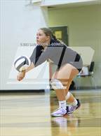 Photo from the gallery "White Oak @ Croatan"