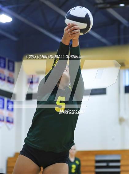 Thumbnail 1 in White Oak @ Croatan photogallery.