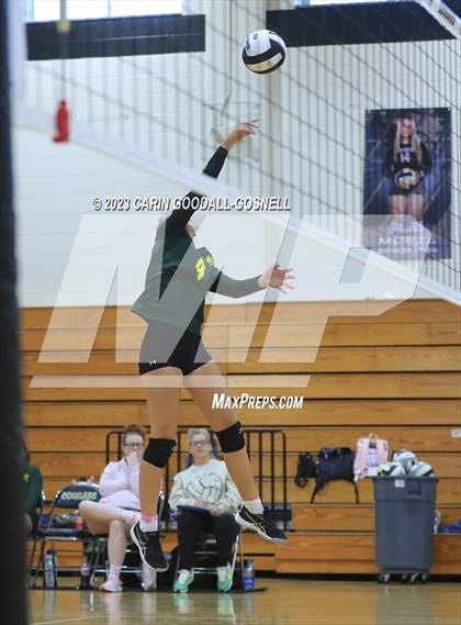 Thumbnail 3 in White Oak @ Croatan photogallery.