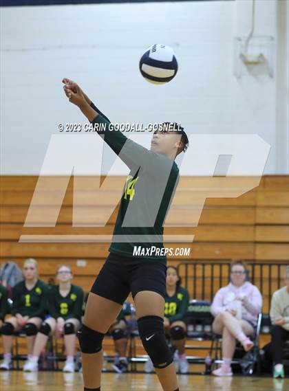 Thumbnail 2 in White Oak @ Croatan photogallery.