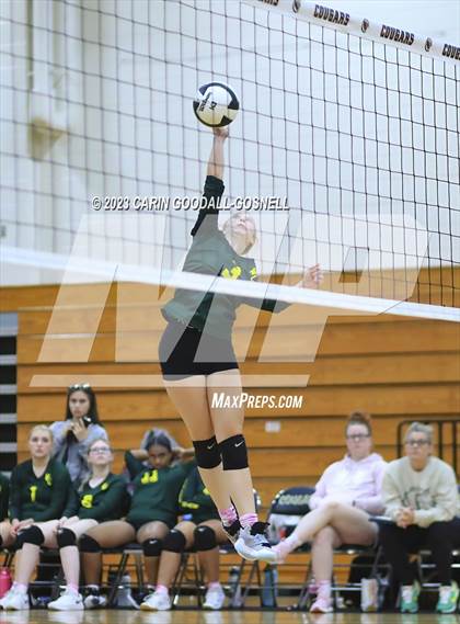 Thumbnail 1 in White Oak @ Croatan photogallery.