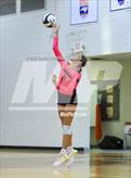 Photo from the gallery "White Oak @ Croatan"