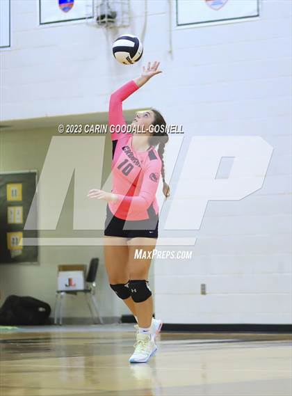Thumbnail 2 in White Oak @ Croatan photogallery.