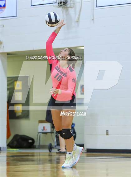 Thumbnail 2 in White Oak @ Croatan photogallery.