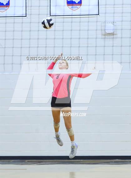 Thumbnail 2 in White Oak @ Croatan photogallery.