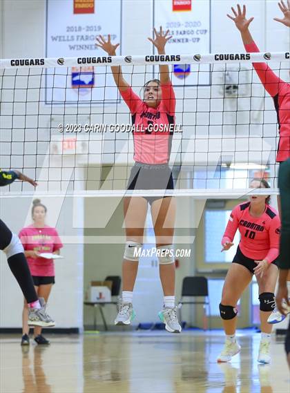 Thumbnail 1 in White Oak @ Croatan photogallery.