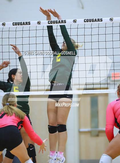 Thumbnail 2 in White Oak @ Croatan photogallery.