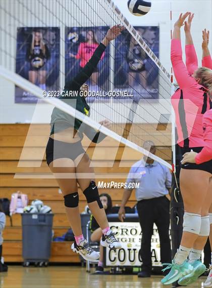 Thumbnail 2 in White Oak @ Croatan photogallery.