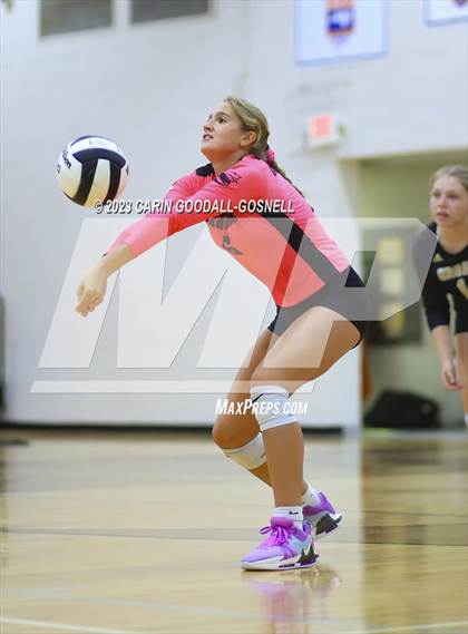 Thumbnail 2 in White Oak @ Croatan photogallery.