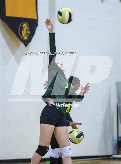Thumbnail 3 in White Oak @ Croatan photogallery.