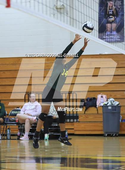Thumbnail 2 in White Oak @ Croatan photogallery.