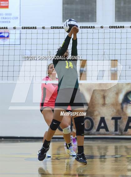 Thumbnail 1 in White Oak @ Croatan photogallery.