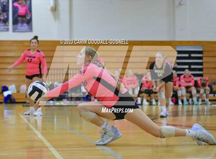 Thumbnail 3 in White Oak @ Croatan photogallery.
