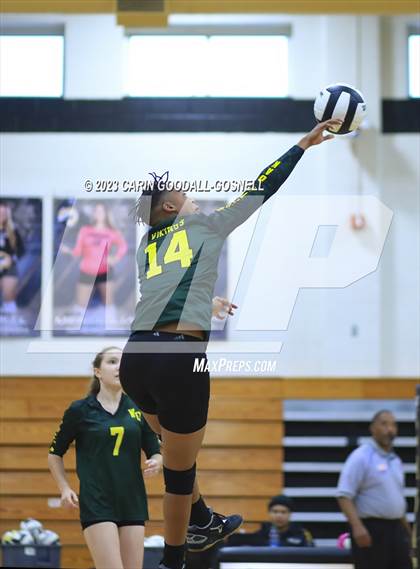 Thumbnail 3 in White Oak @ Croatan photogallery.