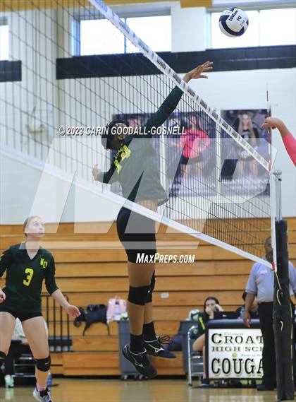 Thumbnail 1 in White Oak @ Croatan photogallery.