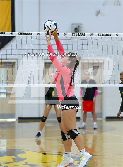 Thumbnail 3 in White Oak @ Croatan photogallery.
