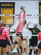 Photo from the gallery "White Oak @ Croatan"